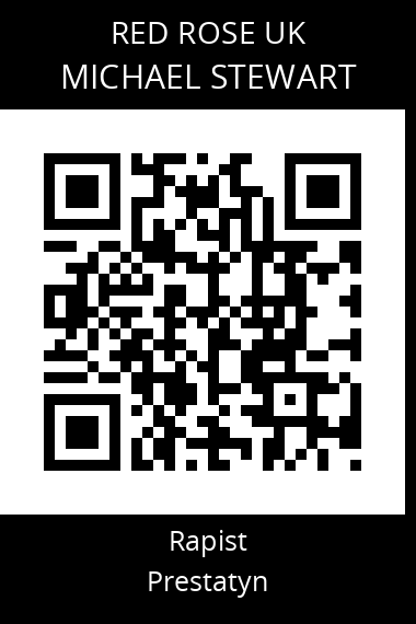 QR code for Michael Stewart